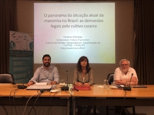 O panorama da situação atual da maconha no Brasil: as demandas legais pelo cultivo caseiro